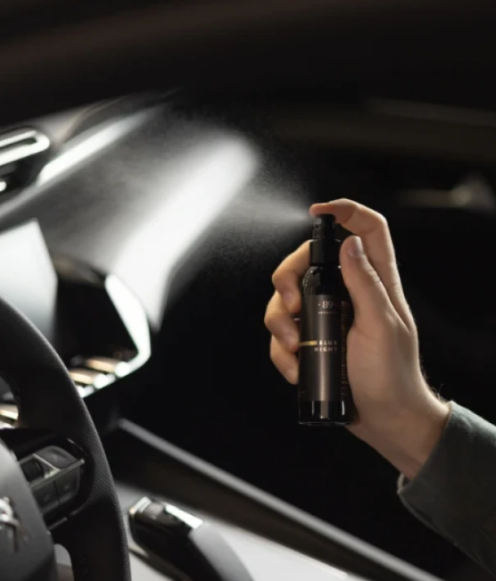 Spray Perfume Carro AROMATIC•89• | 100ml Fragrância Instantânea Elimina Odores